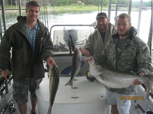 Nice Striped Bass